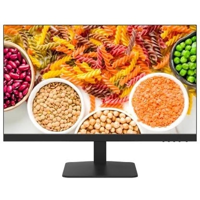 Hikvision DS-D5024F2-1P2