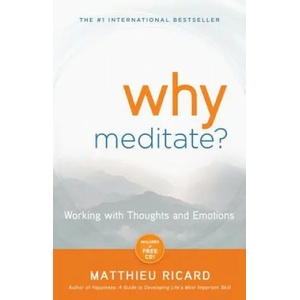 Why Meditate? | Ricard Matthieu (ISBN: 9781401926632)