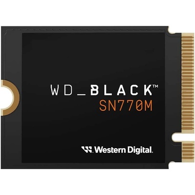 Western Digital SN770M 1TB M.2 (WDS100T3X0G-00CHY0)