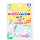 Bic Evolution Triangle 12 barev BIC 8871463