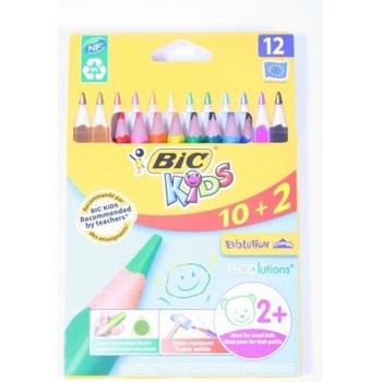 Bic Evolution Triangle 12 barev BIC 8871463