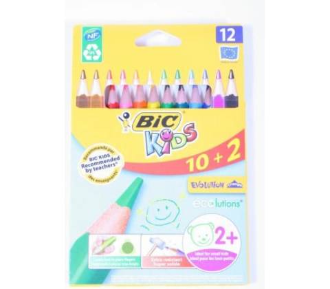 Bic Evolution Triangle 12 barev BIC 8871463