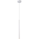 MaxLight P0202
