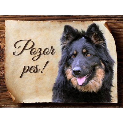 Sport hobby Cedulka Chodský pes Pozor pes CP534 15 x 11 cm