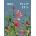 Quarto RHS Pocket Diary 2026 | The Royal Horticultural Society
