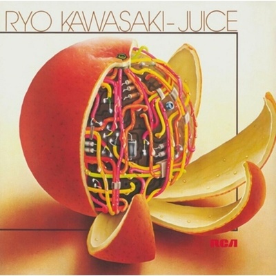 Ryo Kawasaki - JUICE-NB Vinyl