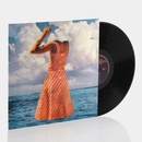 FUTURE ISLANDS: SINGLES LP