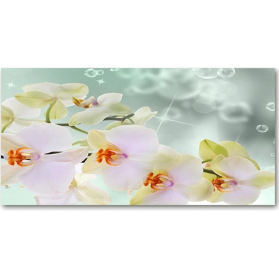 Foto obraz fotografie na skle biela orchidea 100x50 cm