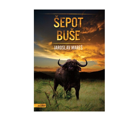 Šepot buše
