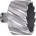 ABSE N-HS-W19-0610025