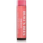 Burt's Bees Tinted Lip Balm балсам за устни цвят Hibiscus 4.25 гр