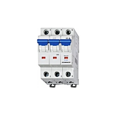 Schrack 10A BS618310 B 6kA