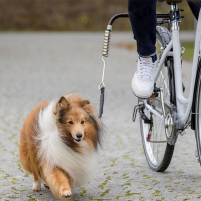 Set pre cyklistov na upevnenie psa k bicyklu