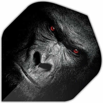 Designa Motley Collection - Gorilla F4376