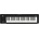 KORG microKEY Air 61