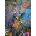 Grafika Art Puzzle - Puzzle Josephine Wall: Water Baby - 500 piese