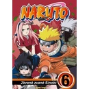 Naruto 6 DVD