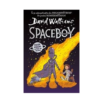 Spaceboy - David Walliams