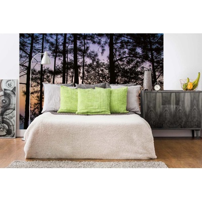 DIMEX ART Самозалепваща се флизелинова фототапета тайландски парк 375 x 250 см