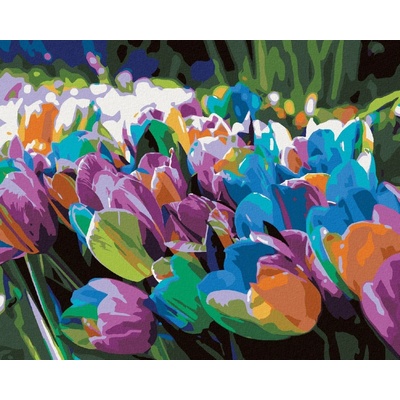 Zuty Malování Podle Čísel Duhové Tulipány 80 x 100 cm Plátno Rám