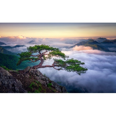 Plagát, Obraz - On the rock, Tiger Seo, 40 × 24.3 cm