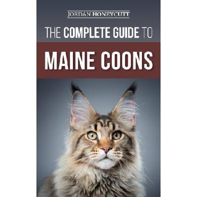 The Complete Guide to Maine Coons | Jordan Honeycutt