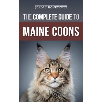 The Complete Guide to Maine Coons | Jordan Honeycutt