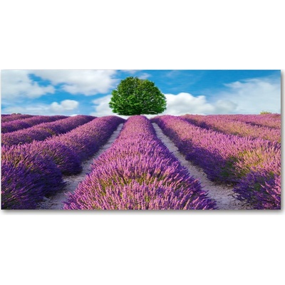 Fotoobraz na skle pole levanduľa 100x50 cm