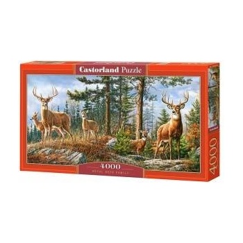 Castorland Puzzle 4000 pcs. Royal Deer Family
