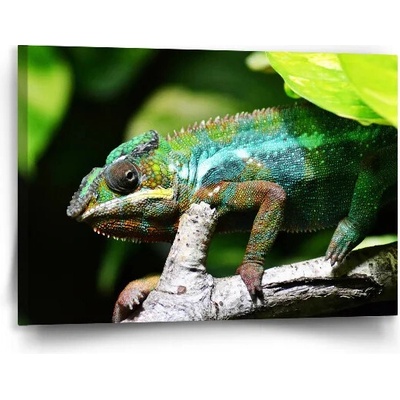 Sablio Obraz Chameleón - 90x60 cm