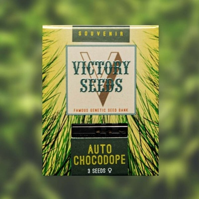 Victory Seeds AUTO Chocodope semena neobsahují THC 5 ks