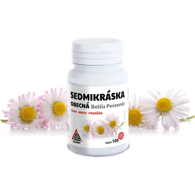 Valknut Sedmikráska obecná Bellis Perennis 100+20 kapslí