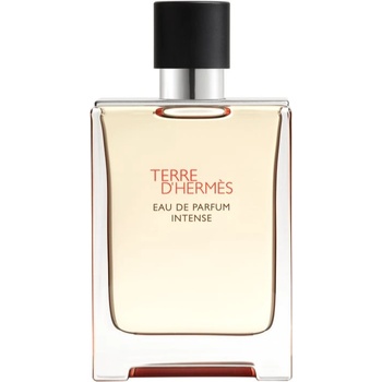 Hermès Terre D'Hermes (Intense) EDP 100 ml