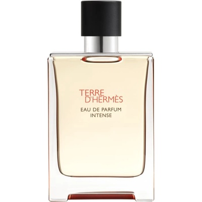 Hermès Terre D'Hermes (Intense) EDP 100 ml