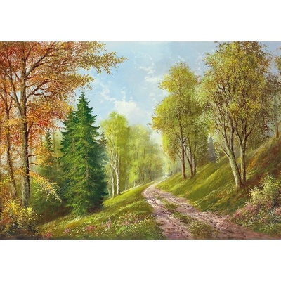 Obraz Krajina - HORSKÁ CESTA 1 deska 100x60