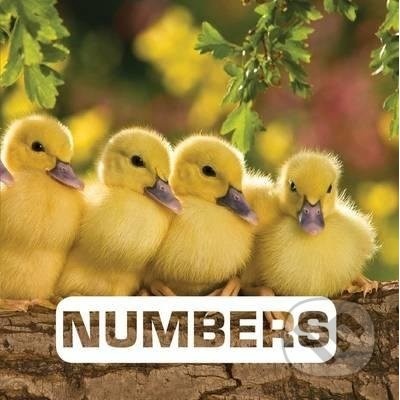Numbers - Picture This - Judith Nouvian