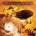 Transatlantic - Whirlwind CD