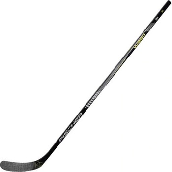 Fischer W250 SR