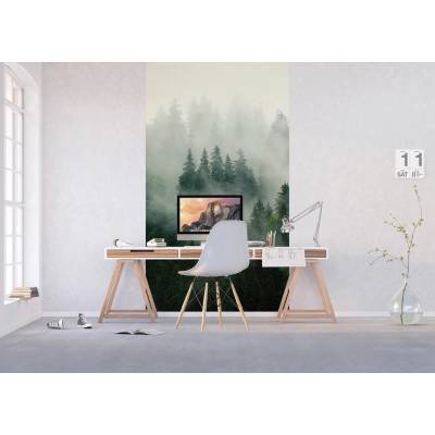 Ag Design FT2P-2545 Vliesová fototapeta na zed' Lesní Mlha, rozměry 150 x 270 cm