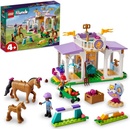 LEGO® Friends 41746 Trénink koní