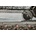 DeWalt DT20465
