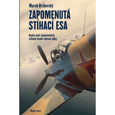 Zapomenutá stíhací esa - Marek Brzkovský