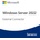 Microsoft Windows Server 2022 External Connector Perpetual (DG7GMGF0D515:0001)