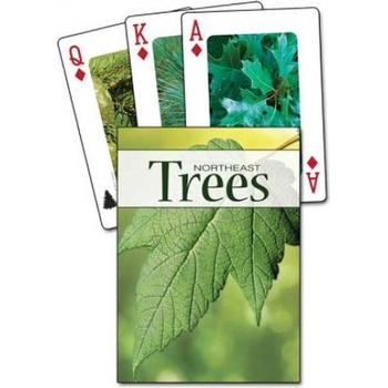 Adventure Pubns Trees of the Northeast Playing Cards | Stan Tekiela