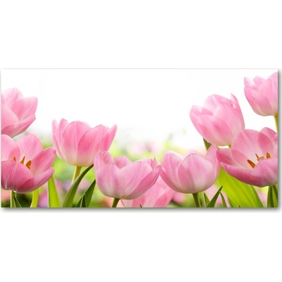 Foto obraz sklenený horizontálny ružové tulipány 100x50 cm