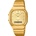 Casio AQ-240EG-9AEF