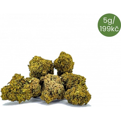 CBDčko CBD Hazelnut malé paličky THC do 0,5% 50 g – Sleviste.cz