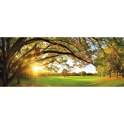 Obrázok CAGI Park 80x150 cm
