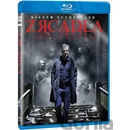 Zrcadla BD