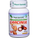 Planet Ayurveda Garcinia Kapsule 500 mg 60 kapsúl